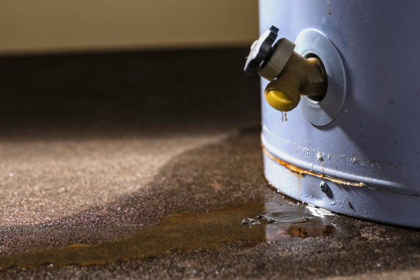 Best Basement water damage restoration  in Blanding, UT
