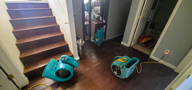 Water damage restoration experts in UT