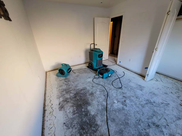 Best Mold removal after water damage  in Blanding, UT
