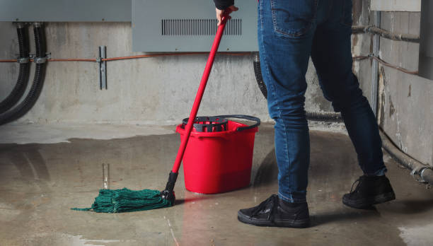 Best Water damage restoration services  in Blanding, UT