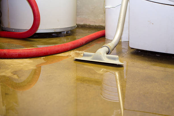 Best Residential water damage restoration  in Blanding, UT