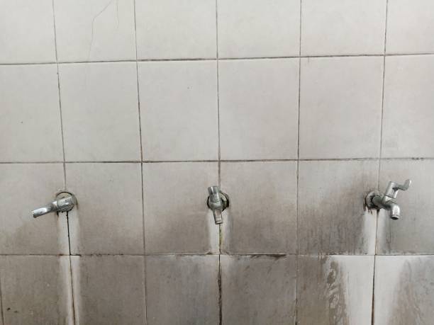 Best Flooded house restoration  in Blanding, UT