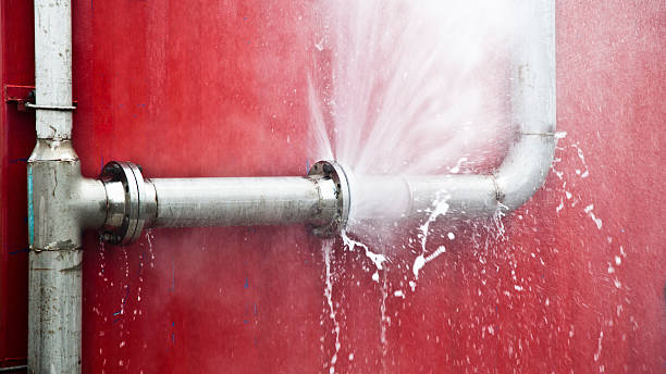 Best Sewage cleanup and water damage restoration  in Blanding, UT
