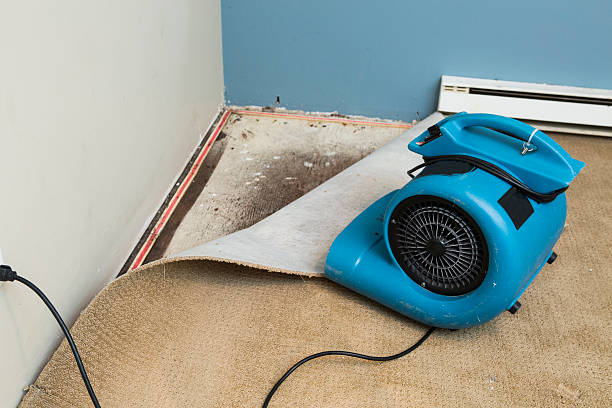 Best 24-hour water damage restoration  in Blanding, UT